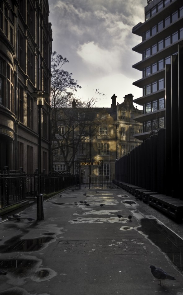 Pigeons feasting by the Staple Inn London