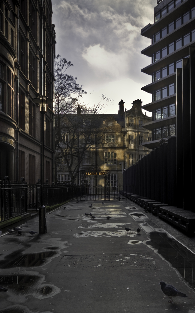 Pigeons feasting by the Staple Inn London