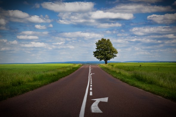 Turn right to the Tree