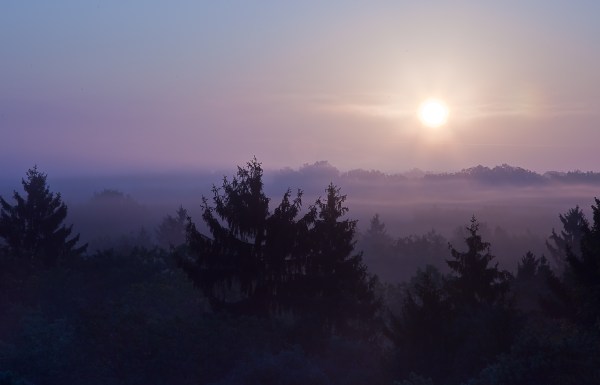 Sunrise in the mist of Chantilly Forest