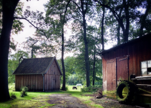 Muden Ortze - HDR image - martinsoler